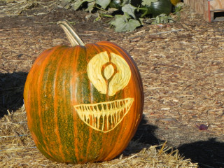 Cyclops, Nipomo Pumpkin Patch best carving idea